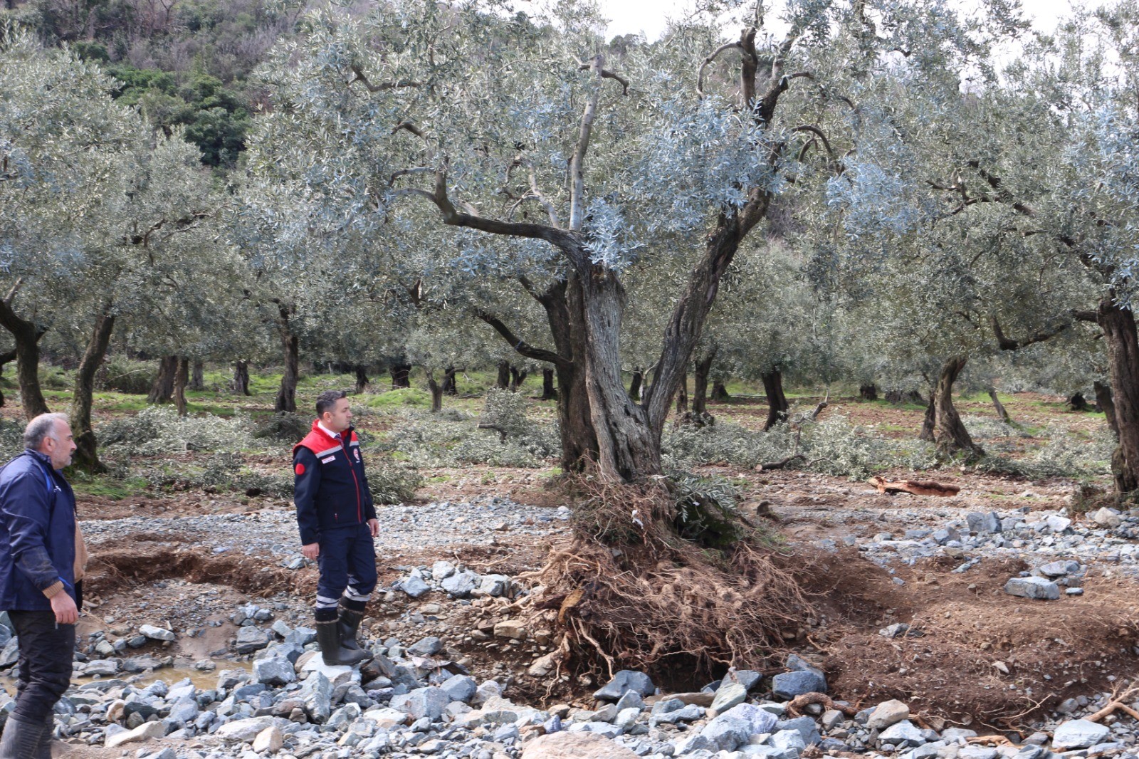 MÜDÜR İLMEÇ YAĞIŞ SONRASI TAŞKIN ALANLARINI İNCELEDİ