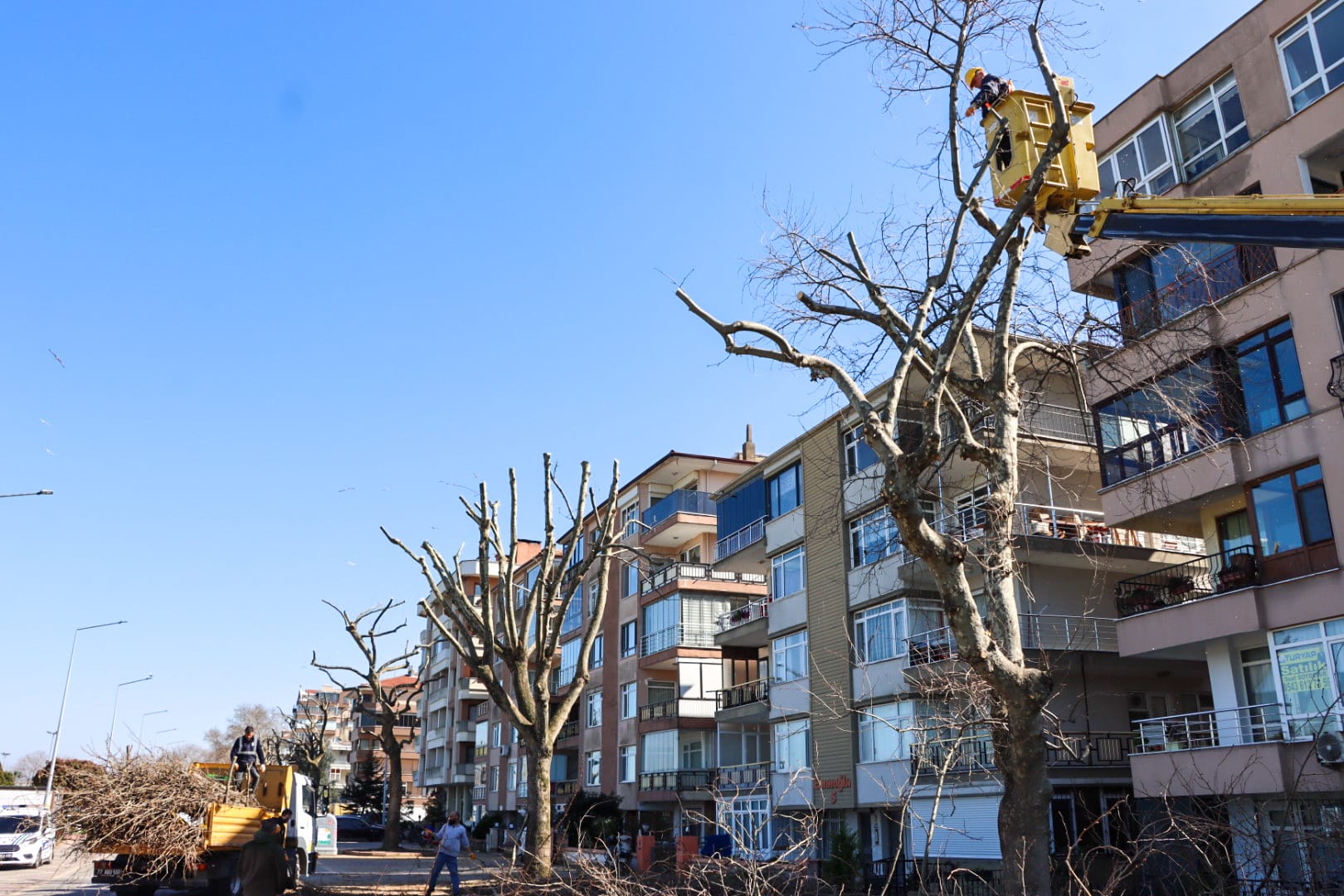 YALOVA BELEDİYESİ HER NOKTADA ÇALIŞMALARINA DEVAM EDİYOR