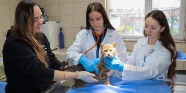 YALOVA BELEDİYESİ’NDEN ERASMUS PROJESİNE DESTEK