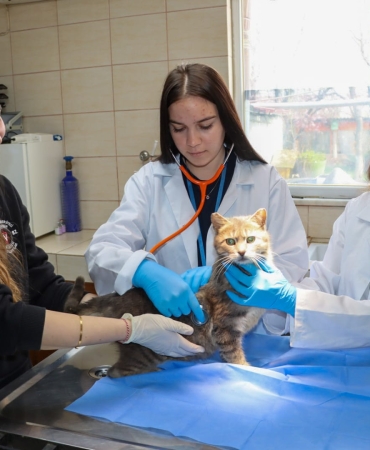 YALOVA BELEDİYESİ’NDEN ERASMUS PROJESİNE DESTEK