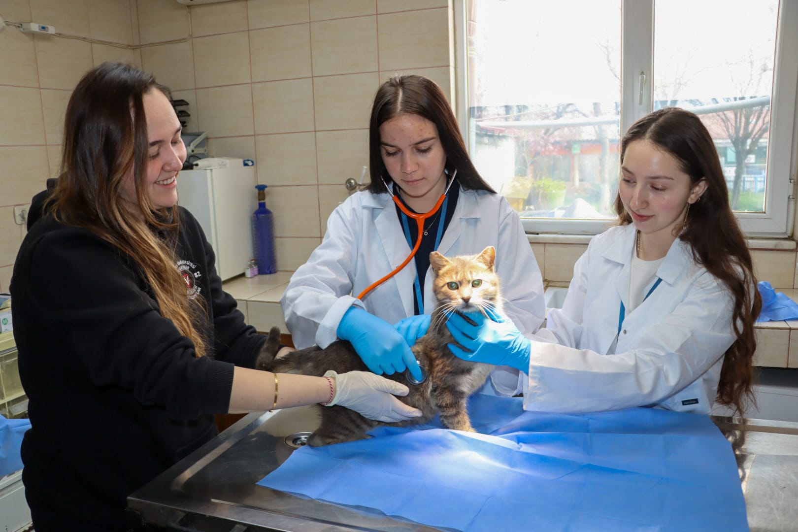 YALOVA BELEDİYESİ’NDEN ERASMUS PROJESİNE DESTEK