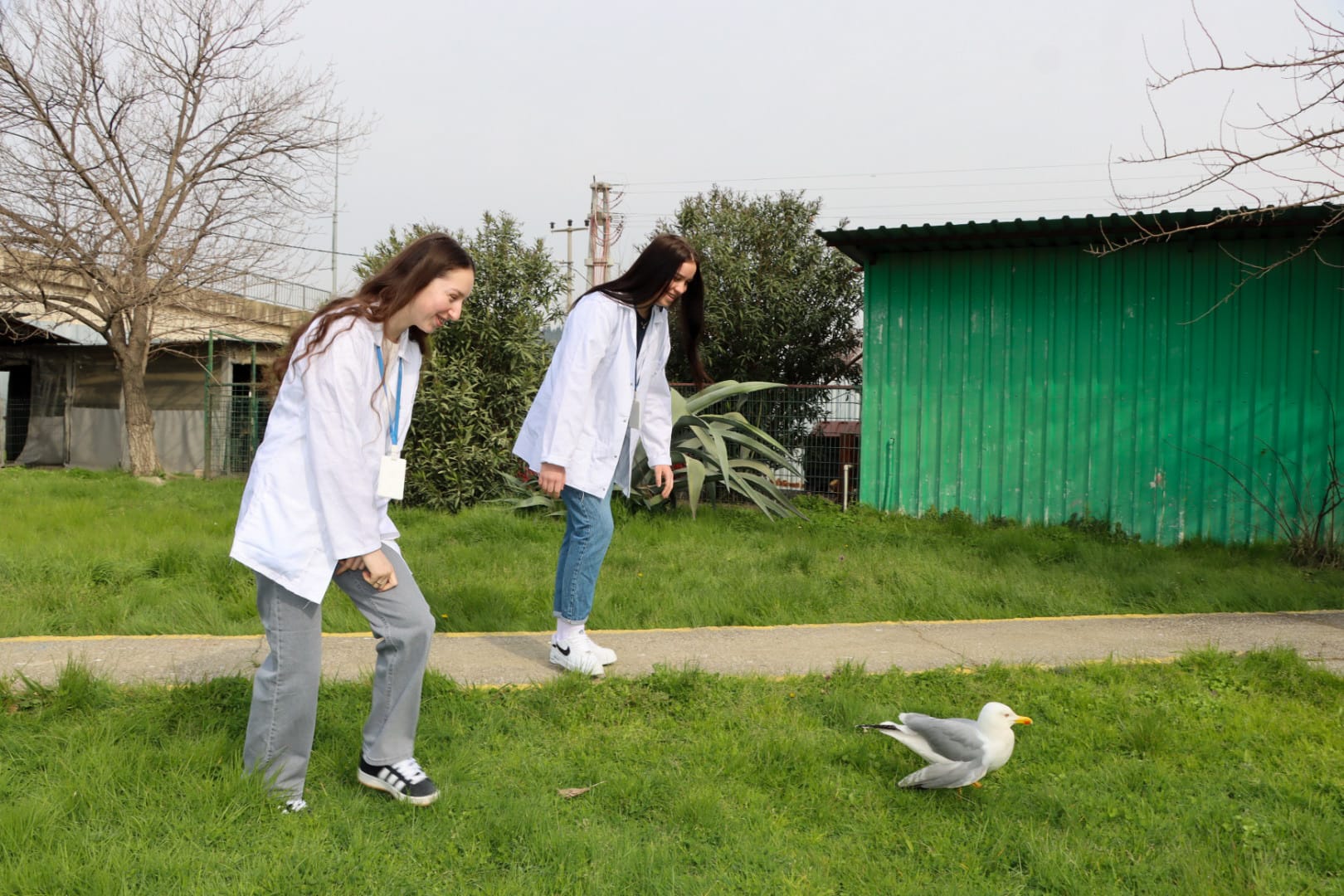 YALOVA BELEDİYESİ’NDEN ERASMUS PROJESİNE DESTEK