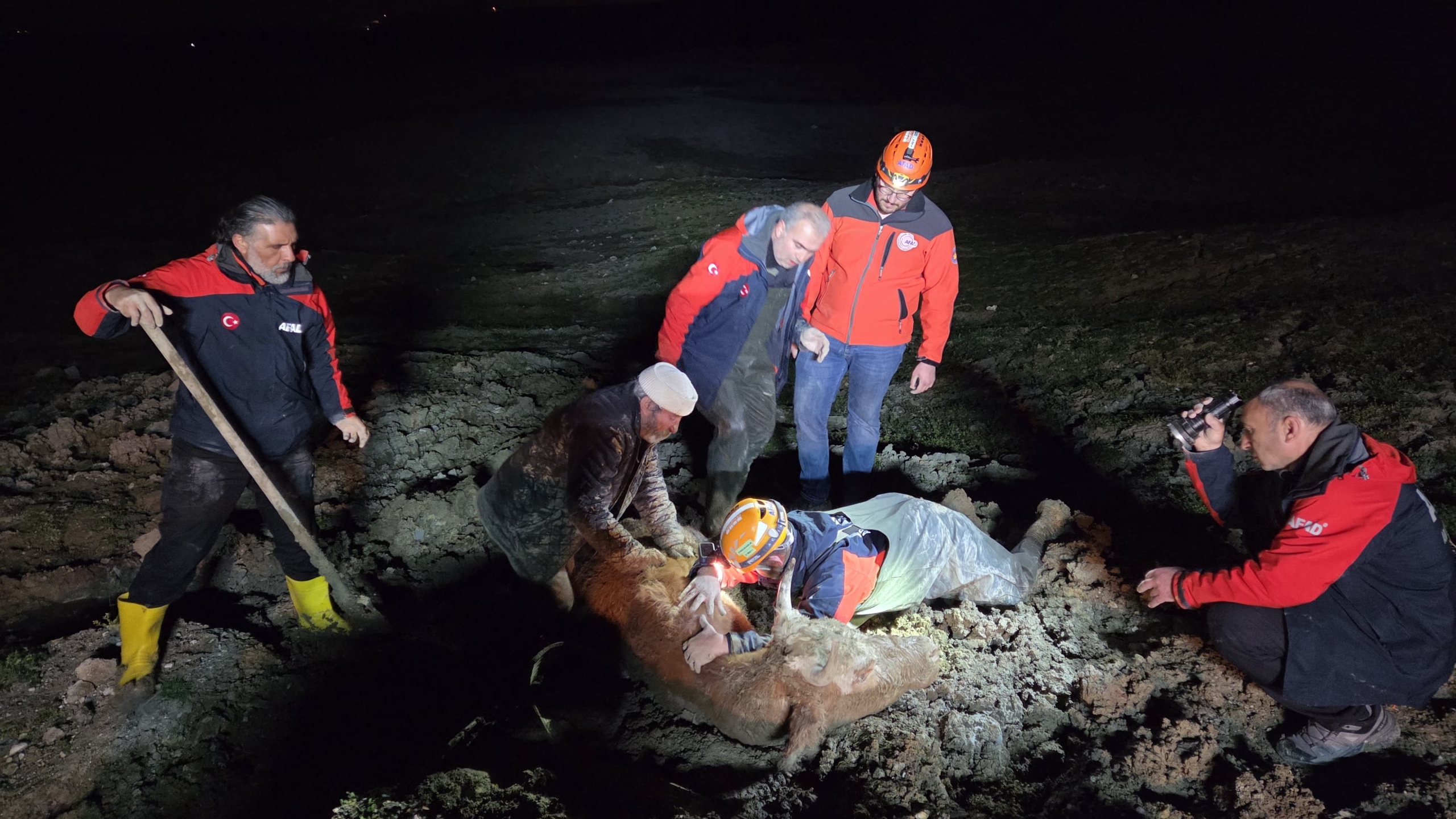 Yalova’da Bataklıkta Mahsur Kalan Vatandaş ve Büyükbaş Hayvan Kurtarıldı 4 Yalova’da Bataklıkta Mahsur Kalan Vatandaş ve Büyükbaş Hayvan Kurtarıldı