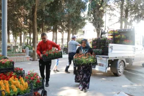 ÇİFTLİKKÖY BAYRAMA HAZIR