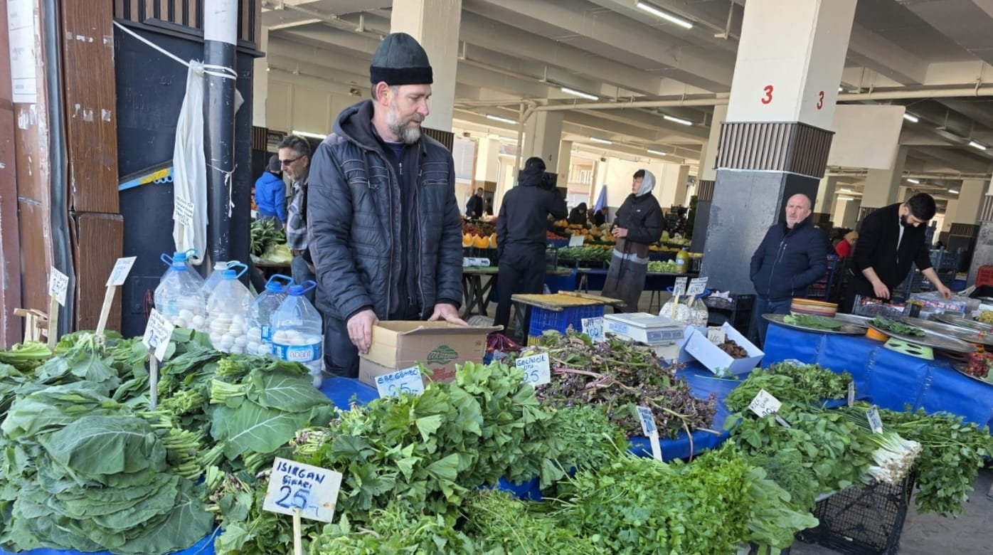Yalova’da Örtüaltı Sebze Üretim Alanlarında Entegre Mücadele Çalışmaları Sürüyor
