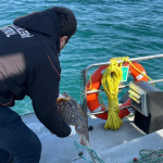 Marmara Denizi’nde Kaçak Av Aracına El Konuldu