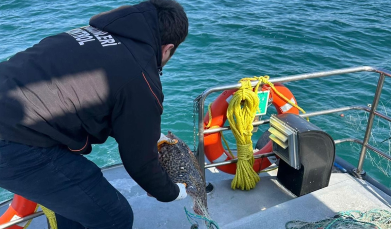 Marmara Denizi’nde Kaçak Av Aracına El Konuldu