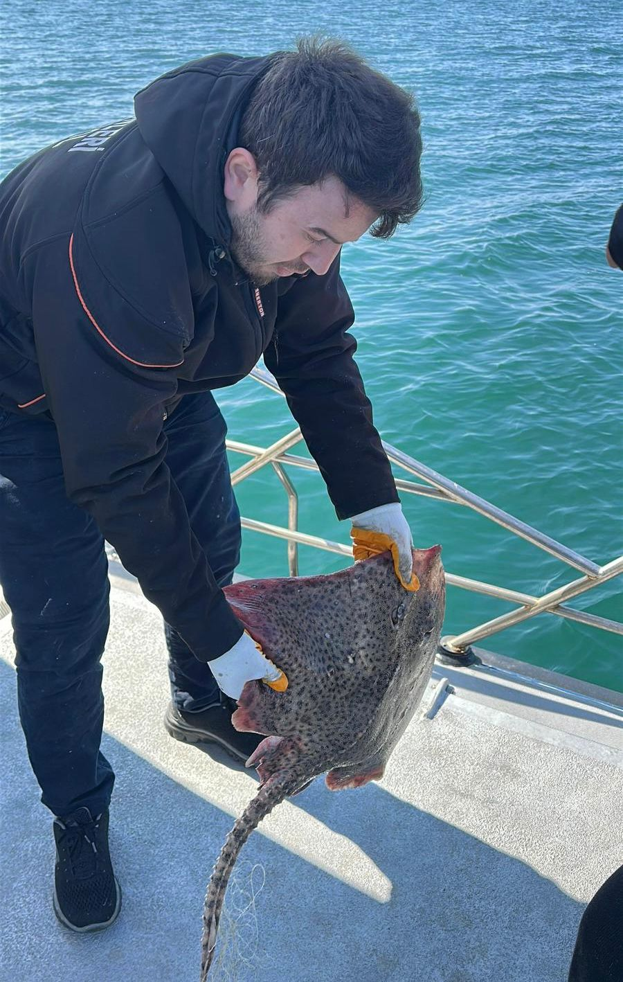 Marmara Denizi’nde Kaçak Av Aracına El Konuldu 6 Marmara Denizi’nde Kaçak Av Aracına El Konuldu