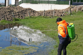SİVRİSİNEK VE KARASİNEKLERLE MÜCADELE ARALIKSIZ SÜRÜYOR
