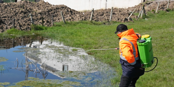 SİVRİSİNEK VE KARASİNEKLERLE MÜCADELE ARALIKSIZ SÜRÜYOR