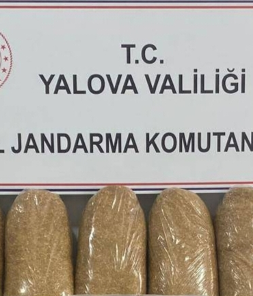 Yalova’da Kaçak Tütün Operasyonu: On Binlerce Makaron ve Kaçak Tütün Ele Geçirildi