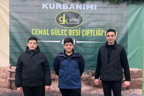 Tırlardan Sahte Belgelere: Yalova’da Göçmen Kaçakçılığı Ağı Çökertildi 1 thumbnail