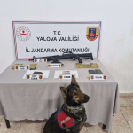 Çınarcık’ta Uyuşturucu ve Silah Operasyonu