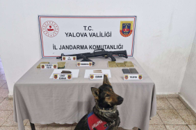 YALOVA BELEDİYESİ’NDEN TOPLU TAŞIMA SÜRÜCÜLERİNE EĞİTİM PROGRAMI 1 thumbnail