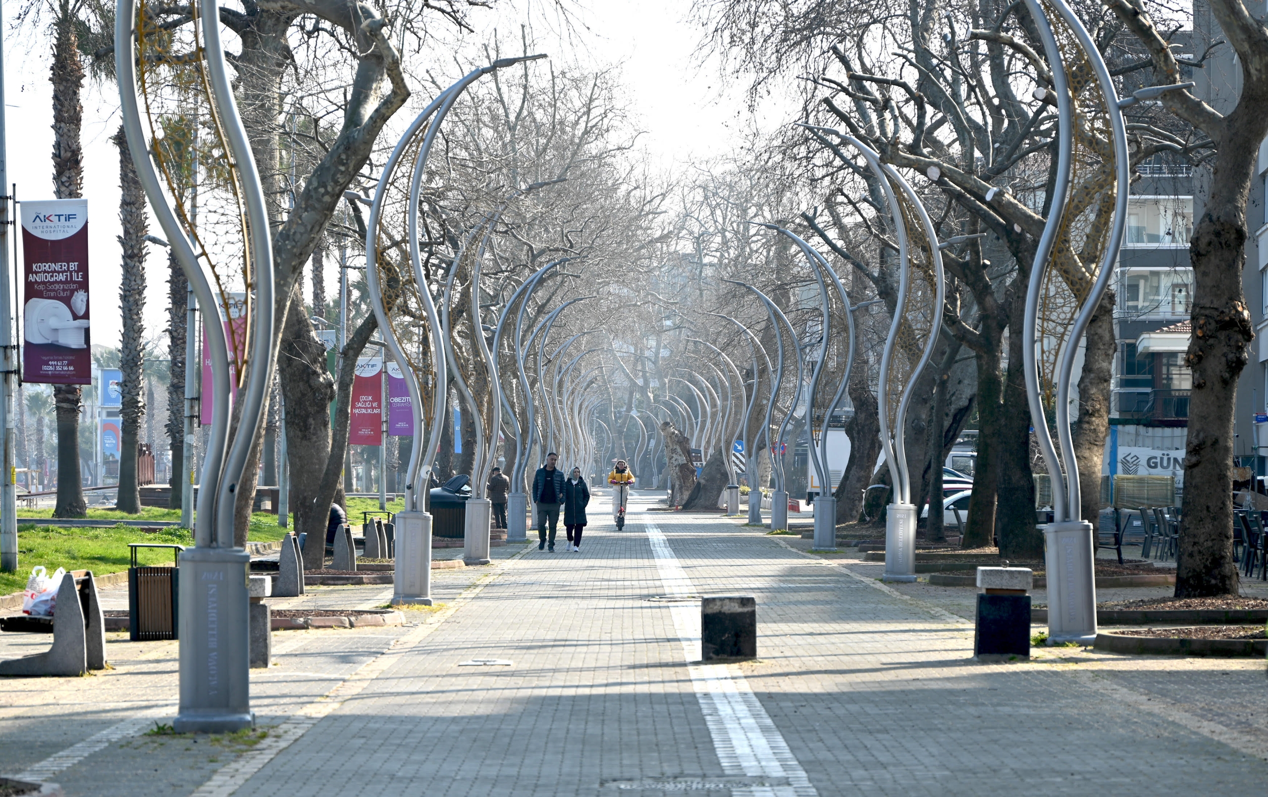 YALOVA BELEDİYESİ’NDEN GAZİPAŞA CADDESİ’NDE AĞAÇ BUDAMA VE BAKIM ÇALIŞMASI