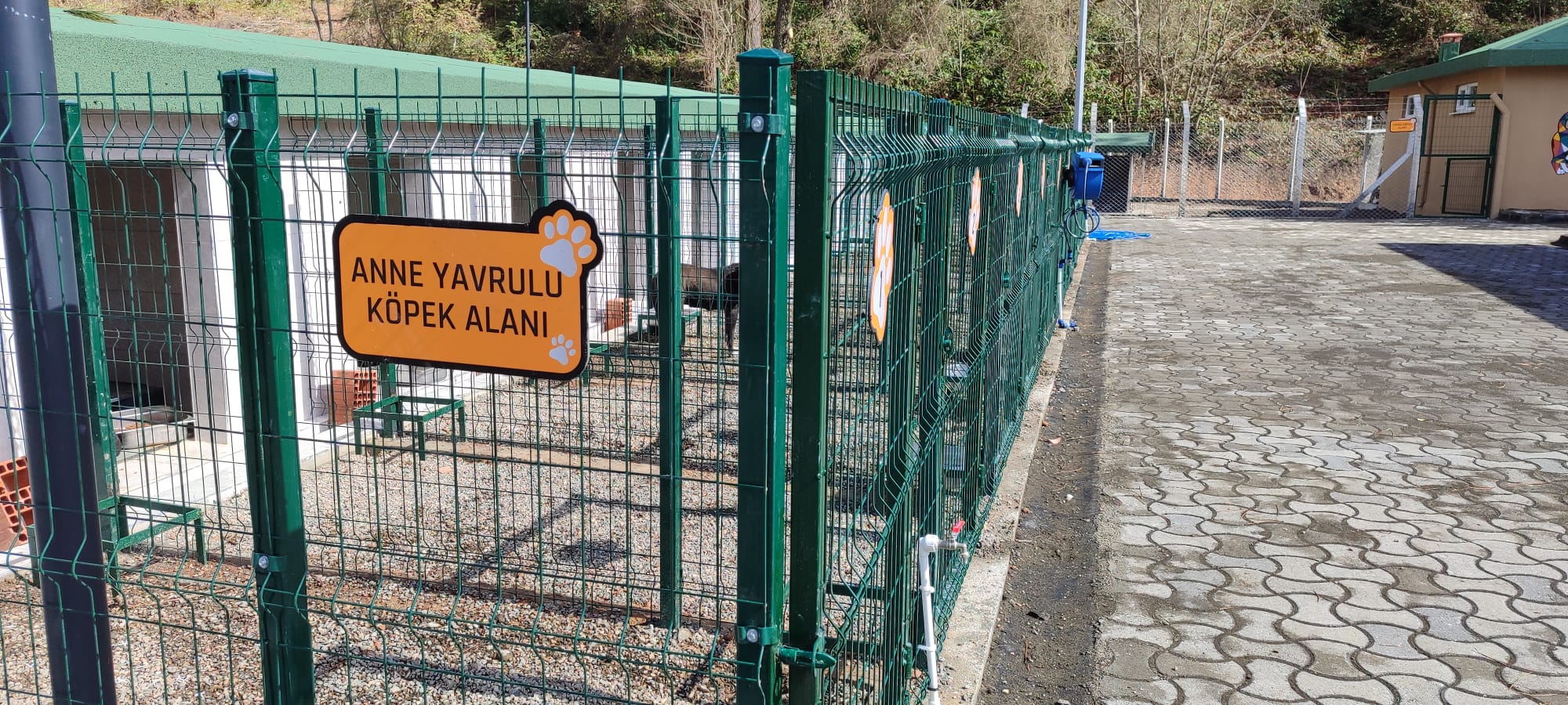 Ünye’de Örnek Barınak ve Doğal Yaşam Alanı Tamamlanma Aşamasına Geldi 4 Ünye’de Örnek Barınak ve Doğal Yaşam Alanı Tamamlanma Aşamasına Geldi