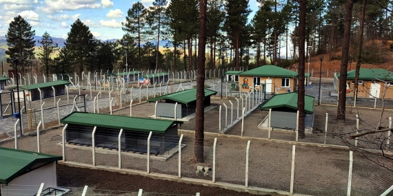 Ünye’de Örnek Barınak ve Doğal Yaşam Alanı Tamamlanma Aşamasına Geldi 22 Ünye’de Örnek Barınak ve Doğal Yaşam Alanı Tamamlanma Aşamasına Geldi