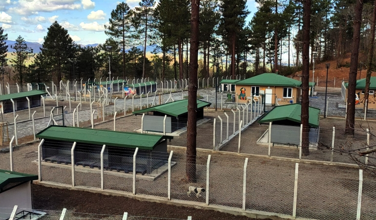 Ünye’de Örnek Barınak ve Doğal Yaşam Alanı Tamamlanma Aşamasına Geldi