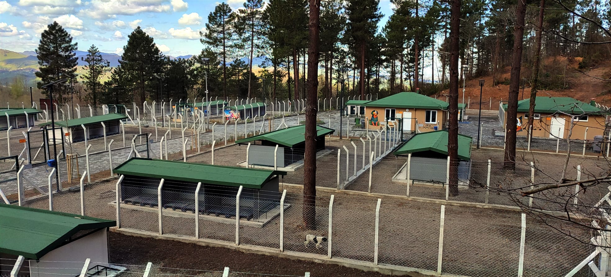 Ünye’de Örnek Barınak ve Doğal Yaşam Alanı Tamamlanma Aşamasına Geldi