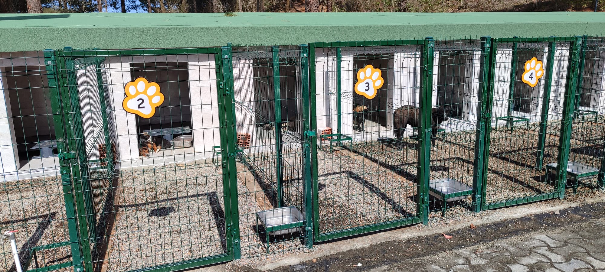 Ünye’de Örnek Barınak ve Doğal Yaşam Alanı Tamamlanma Aşamasına Geldi 6 Ünye’de Örnek Barınak ve Doğal Yaşam Alanı Tamamlanma Aşamasına Geldi