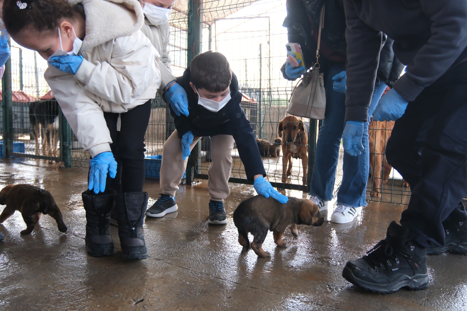 ÇİFTLİKKÖY’DE SOKAK HAYVANLARI EMİN ELLERDE