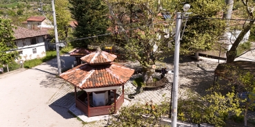 TARİHİ VE DOĞAL MİRAS GÜVENCE ALTINDA: ÇUKURKÖY VE GACIK’TA ANIT AĞAÇ BAKIMLARI TAMAMLANDI