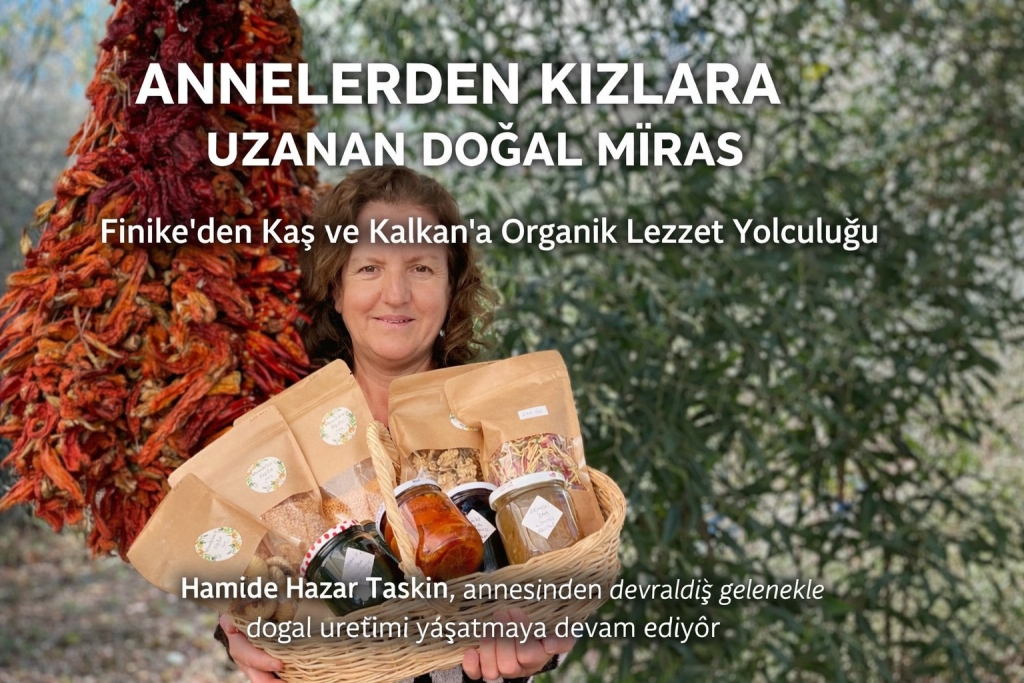 Antalya’da Annesinden Devraldığı Mirası Yaşatıyor: Hamide Hazar Taşkın’dan Organik Üretim Başarısı