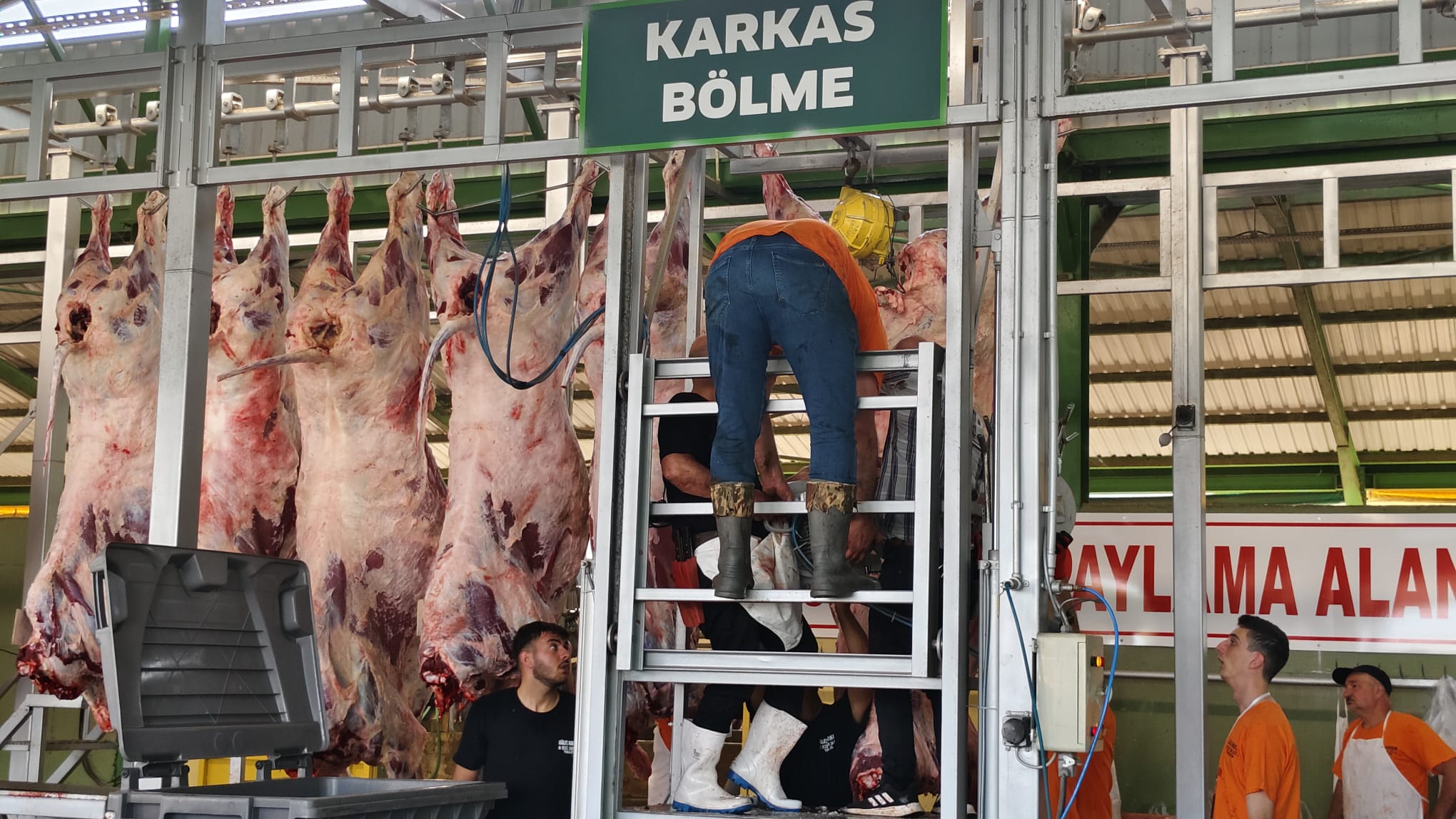 Güleç Kardeşler 2026 Kurbanlık Satışları Devam Ediyor: Modern Tesis, Şeffaf Sistem ve Aile Dostu Hizmet