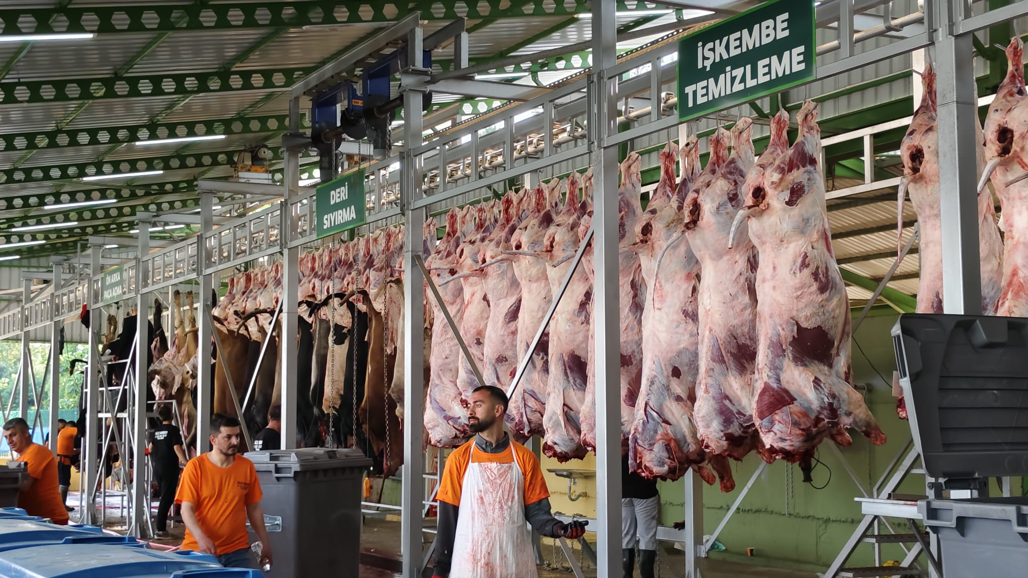 Güleç Kardeşler 2026 Kurbanlık Satışları Devam Ediyor: Modern Tesis, Şeffaf Sistem ve Aile Dostu Hizmet