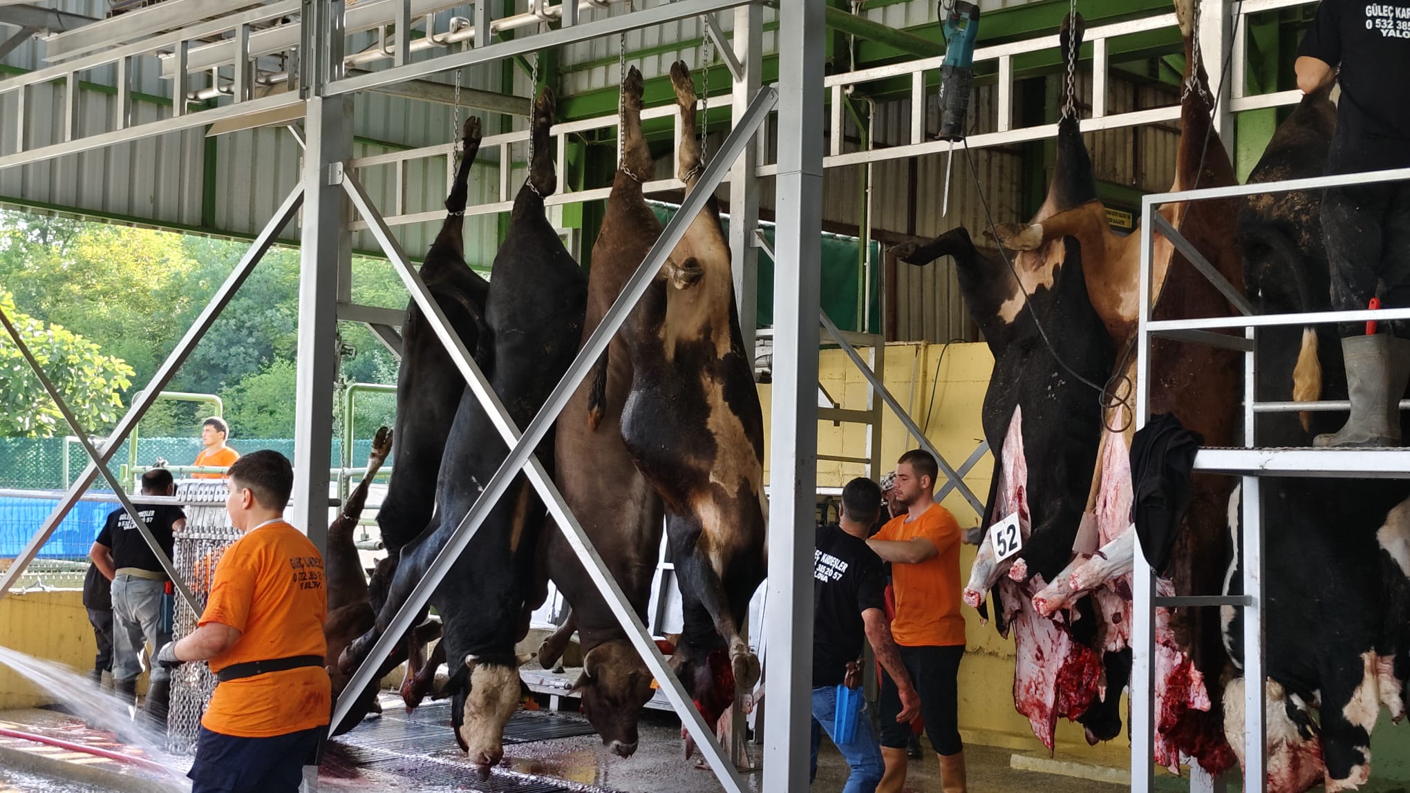 Güleç Kardeşler 2026 Kurbanlık Satışları Devam Ediyor: Modern Tesis, Şeffaf Sistem ve Aile Dostu Hizmet