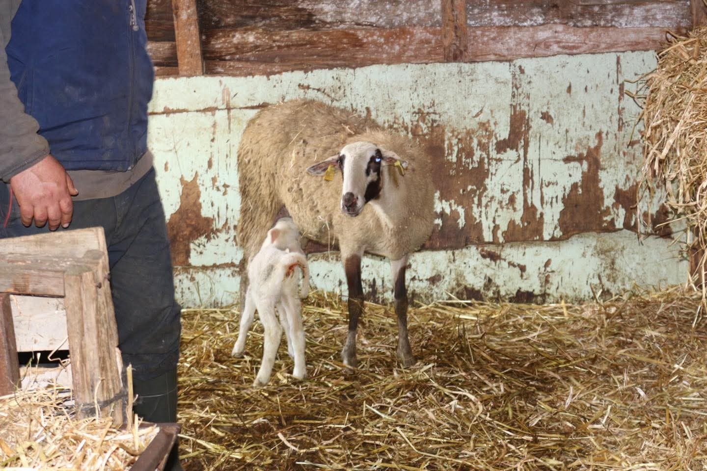 Yalova Tarım ve Orman İl Müdürü Mustafa İlmeç Sahada Üreticilerle Buluştu