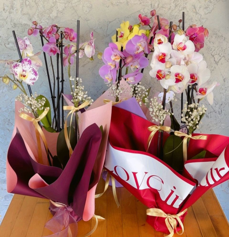 Yalova’da Çiçek Sektörüne Yeni Nefes: Betül’s Flowers Hizmete Açıldı