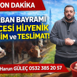 GÜLEÇ KARDEŞLER KURBAN SATIŞLARI DEVAM EDİYOR