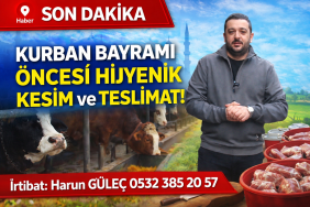 GÜLEÇ KARDEŞLER KURBAN SATIŞLARI DEVAM EDİYOR