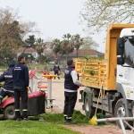 YALOVA’DA TEMİZLİK VE BAKIM SEFERBERLİĞİ SÜRÜYOR