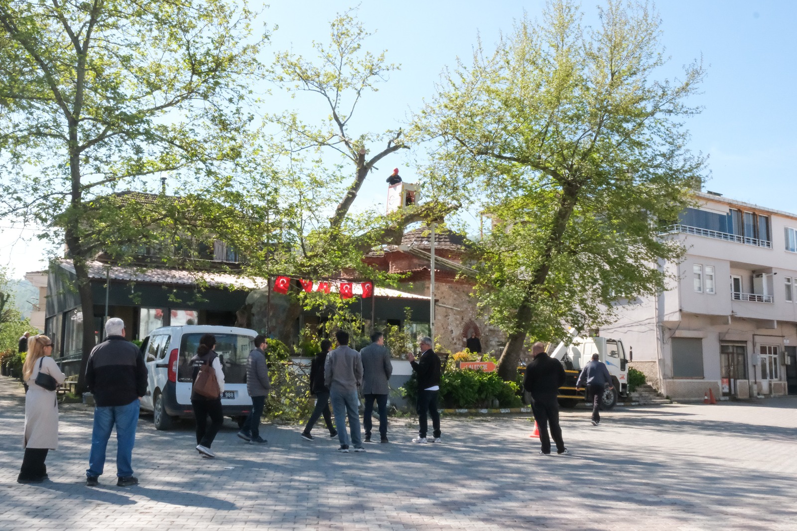 ÇİFTLİKKÖY’DE ANIT AĞAÇLARA ÖZEL BUDAMA