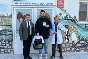 Ahmet Olmuştur Kimdir? Türk Hava Yolları’nda Zirveye Uzanan Başarı Hikâyesi 1 thumbnail