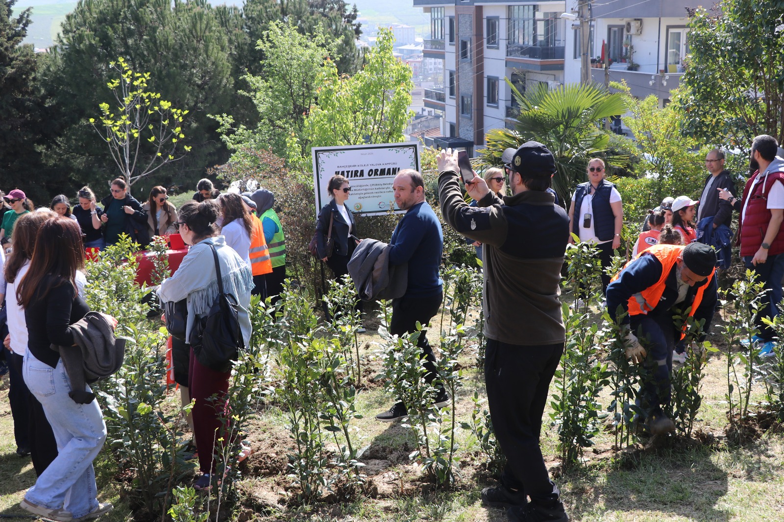 ÇİFLİKKÖY’DE 400 ÖĞRENCİDEN 400 DEFNE FİDANI