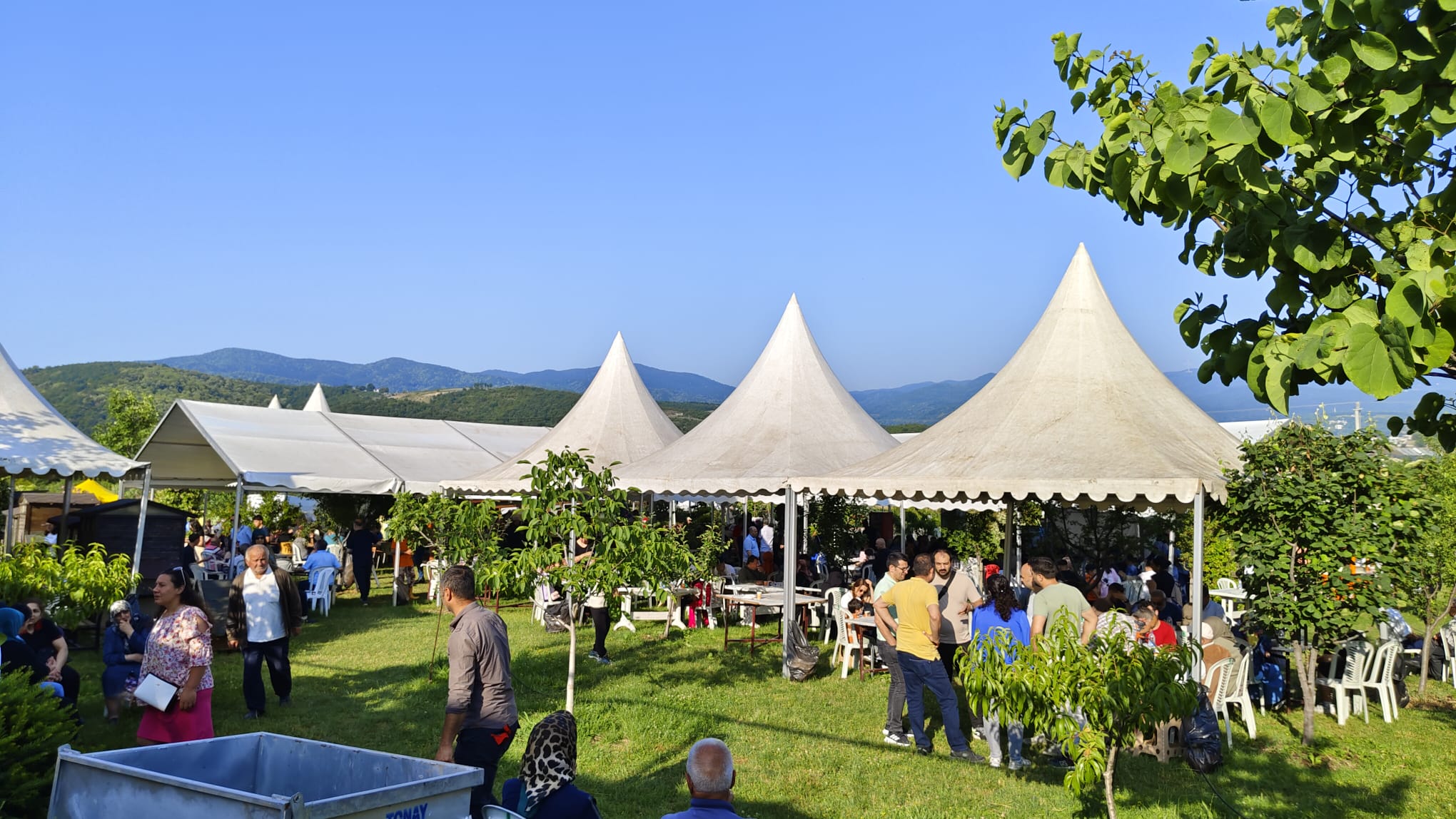 Güleç Kardeşler 2026 Kurbanlık Satışları Devam Ediyor: Modern Tesis, Şeffaf Sistem ve Aile Dostu Hizmet