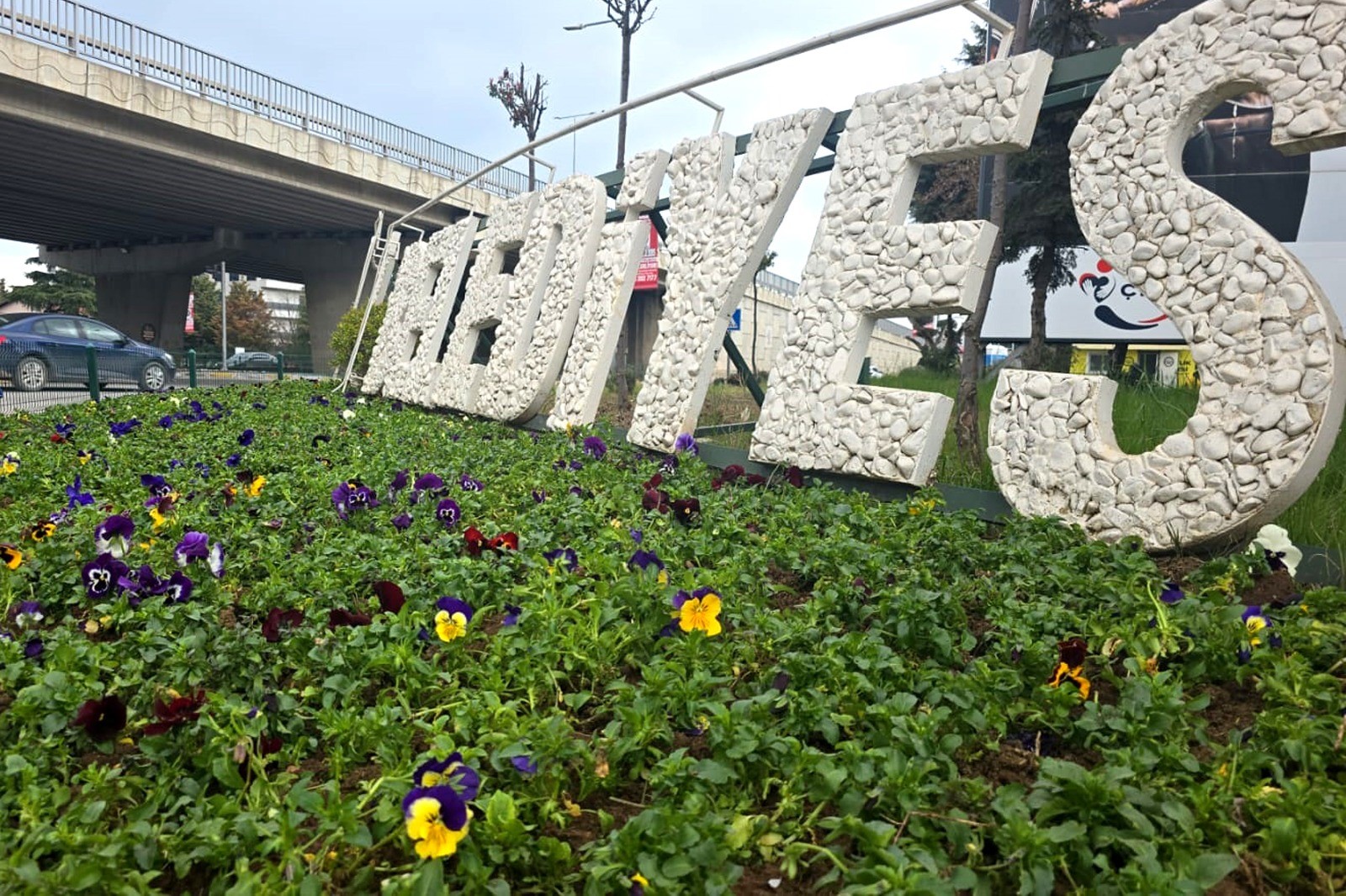 ATATÜRK CADDESİ GİRİŞİ 1000 MENEKŞEYLE RENKLENDİ