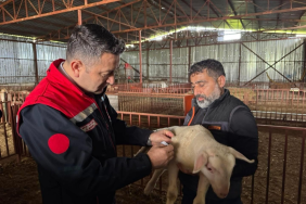 Ordu Valisi Muammer Erol, Fatsa Gazeteciler ve Basın Derneği Yönetimini Kabul Etti 1 thumbnail