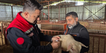 Yalova Tarım ve Orman İl Müdürü Mustafa İlmeç Sahada Üreticilerle Buluştu