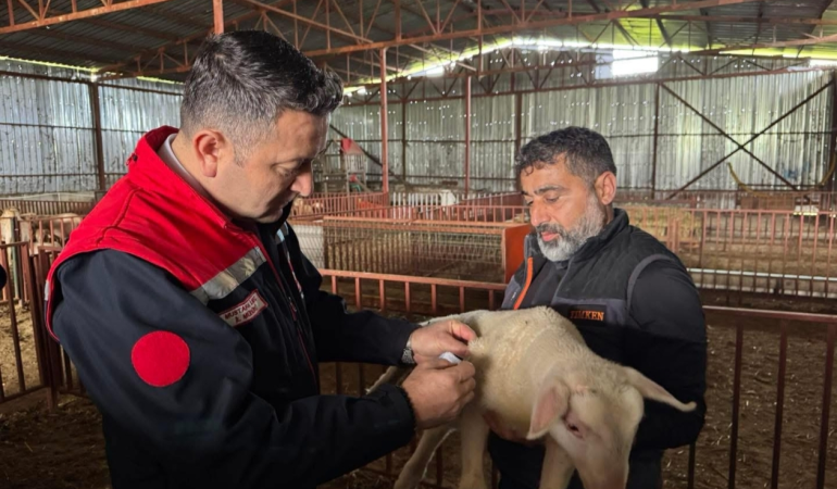 Yalova Tarım ve Orman İl Müdürü Mustafa İlmeç Sahada Üreticilerle Buluştu