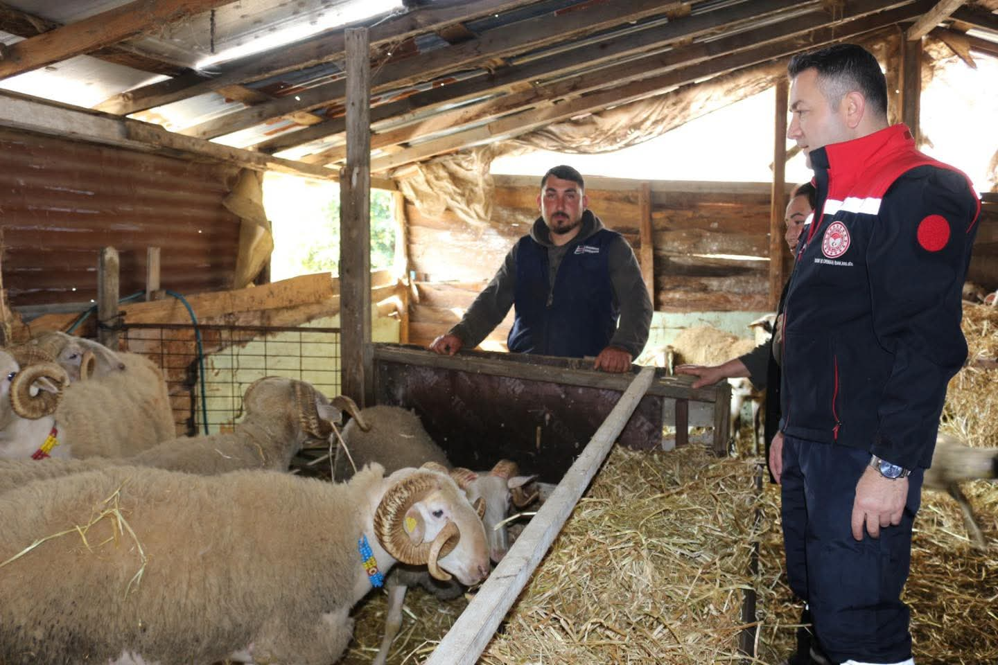 Yalova Tarım ve Orman İl Müdürü Mustafa İlmeç Sahada Üreticilerle Buluştu