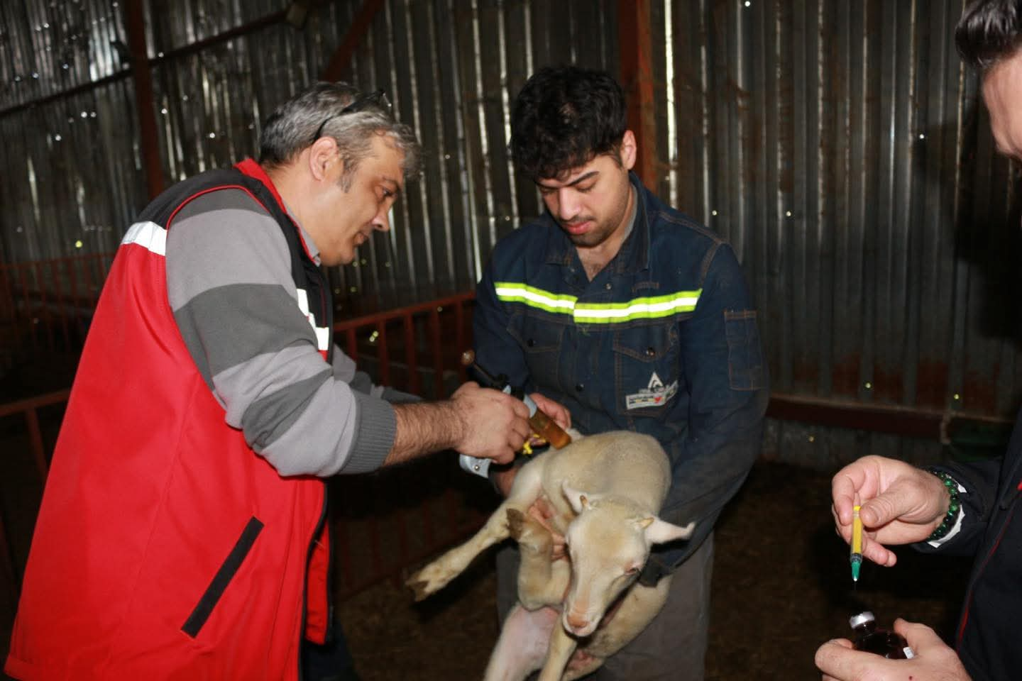 Yalova Tarım ve Orman İl Müdürü Mustafa İlmeç Sahada Üreticilerle Buluştu