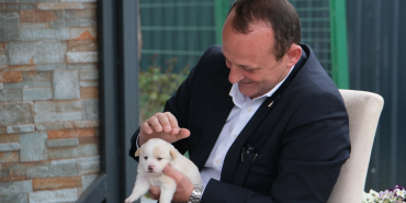 ÇİFTLİKKÖY’DE SOKAK HAYVANLARI EMİN ELLERDE