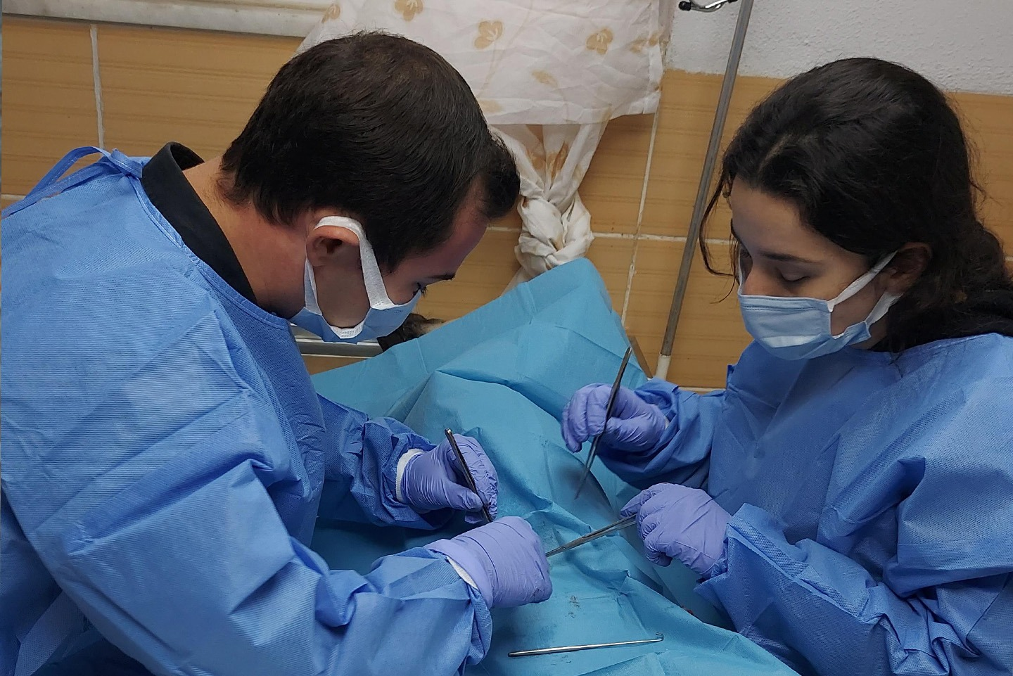 ÇİFTLİKKÖY’DE SOKAK HAYVANLARI EMİN ELLERDE