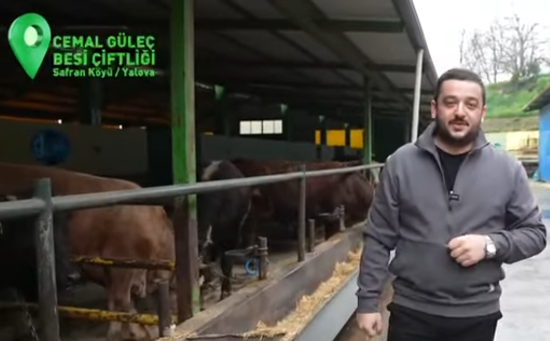 GÜLEÇ KARDEŞLER KURBAN SATIŞLARI DEVAM EDİYOR