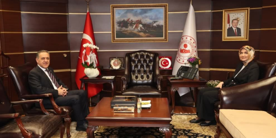 Yalova Valisi Usta'dan Ankara Çıkarması: Bakan Yardımcılarıyla Yalova İçin Stratejik Görüşme