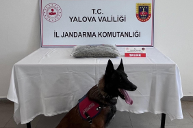 Yalova’nın Kurtuluşu 104. Yılında Coşkuyla Kutlandı 3 thumbnail